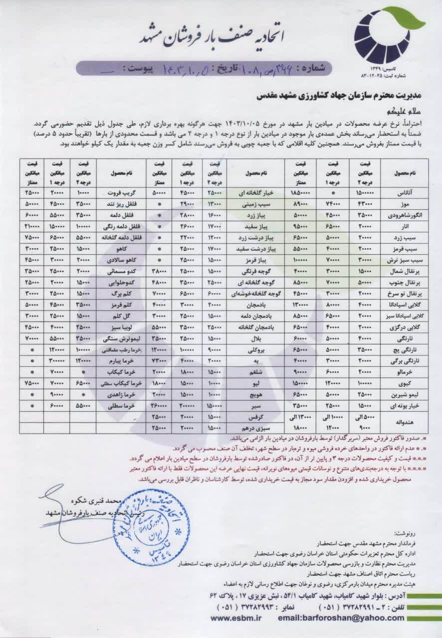 قیمت امروز میوه و صیفی جات در مشهد (۵ دی ۱۴۰۳) | نارنگی موجود در بازار با ۳ قیمت