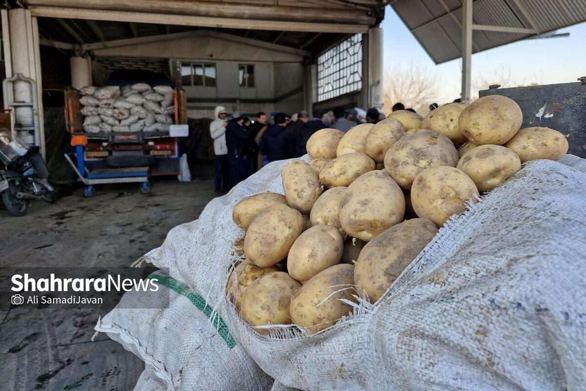 بازدید سرزده حجت‌الاسلام پژمان‌فر از میدان‌بار سپاد مشهد (۲۴ بهمن ۱۴۰۳) | سیب‌زمینی در مشهد تا ۱۰ روز آینده ارزان خواهد شد