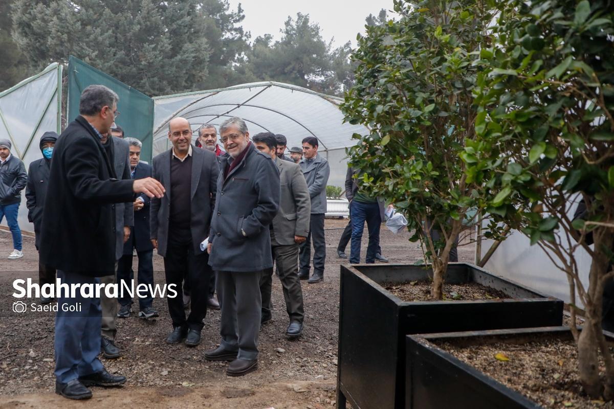 شهردار مشهد مقدس: گذر گل در نوروز ۱۴۰۴ ایجاد می‌شود | در حوزه زیباسازی شهر و المان‌های شهری ویژه‌تر کار می‌کنیم