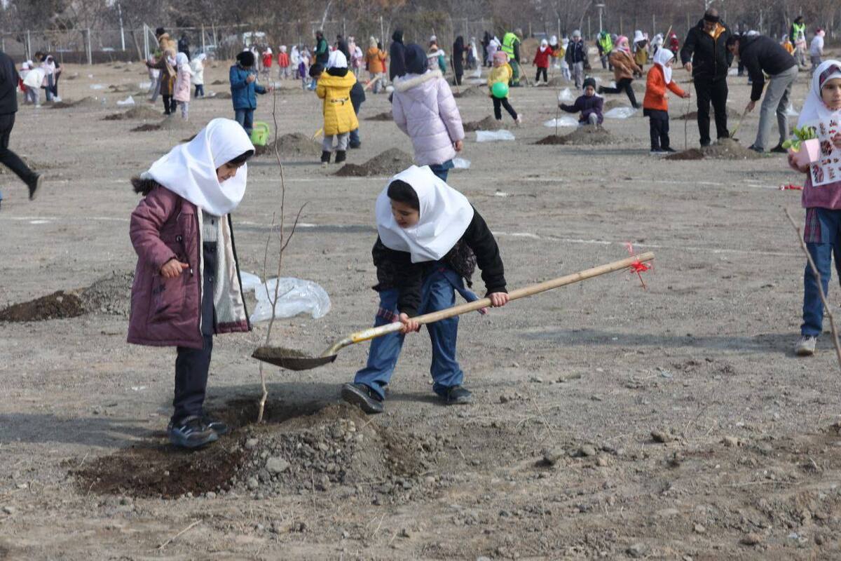 ناصحی: سیاست شورای ششم، افزایش فضای سبز با حداقل استفاده از منابع آبی است