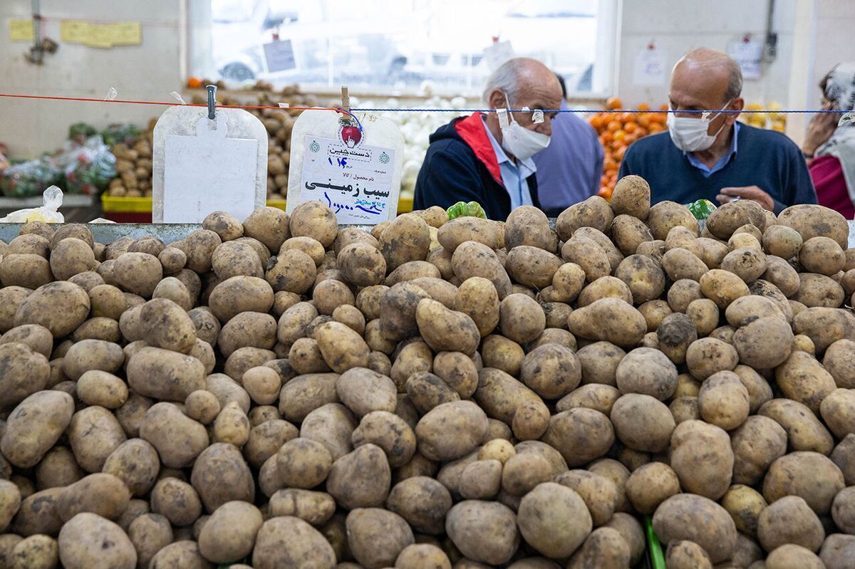 گزارش‌های میدانی حاکی از آن است که قیمت هر کیلو سیب‌زمینی که در سطح شهر به ۱۰۰ هزار تومان رسیده بود، با واردات و توزیع سیب‌زمینی‌های تنظیم بازار، قیمتش در سطح شهر ۴۰ تا ۴۵ درصد کاهش داشته است و پیش‌بینی می‌شود که روند کاهشی ادامه یابد؛ چراکه در کنار واردات، وزارت جهاد، صادرات سیب‌زمینی را هم به مدت دو ماه ممنوع اعلام کرده است.