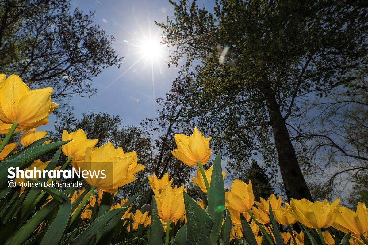 پیش‌بینی هواشناسی مشهد و خراسان رضوی امروز (چهارشنبه، ۲۲ اسفند ۱۴۰۳) | خروج سامانه بارشی و آغاز روند افزایش دما از فردا