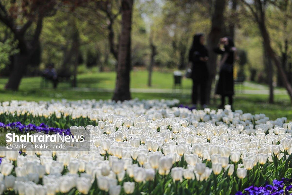 پیش‌بینی هواشناسی مشهد و خراسان رضوی امروز (سه‌شنبه، ۲۸ اسفند ۱۴۰۳) | تحویل سال گرم در مشهد