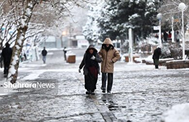 گزارش تصویری | بارش برف در مشهد (۷ اسفند ۱۴۰۳)