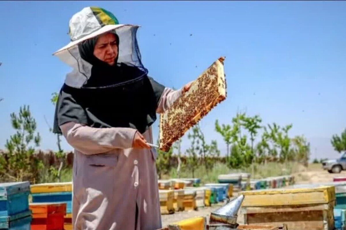 نقش پررنگ زنان روستایی در توسعه گلخانه‌ها و زنبورداری