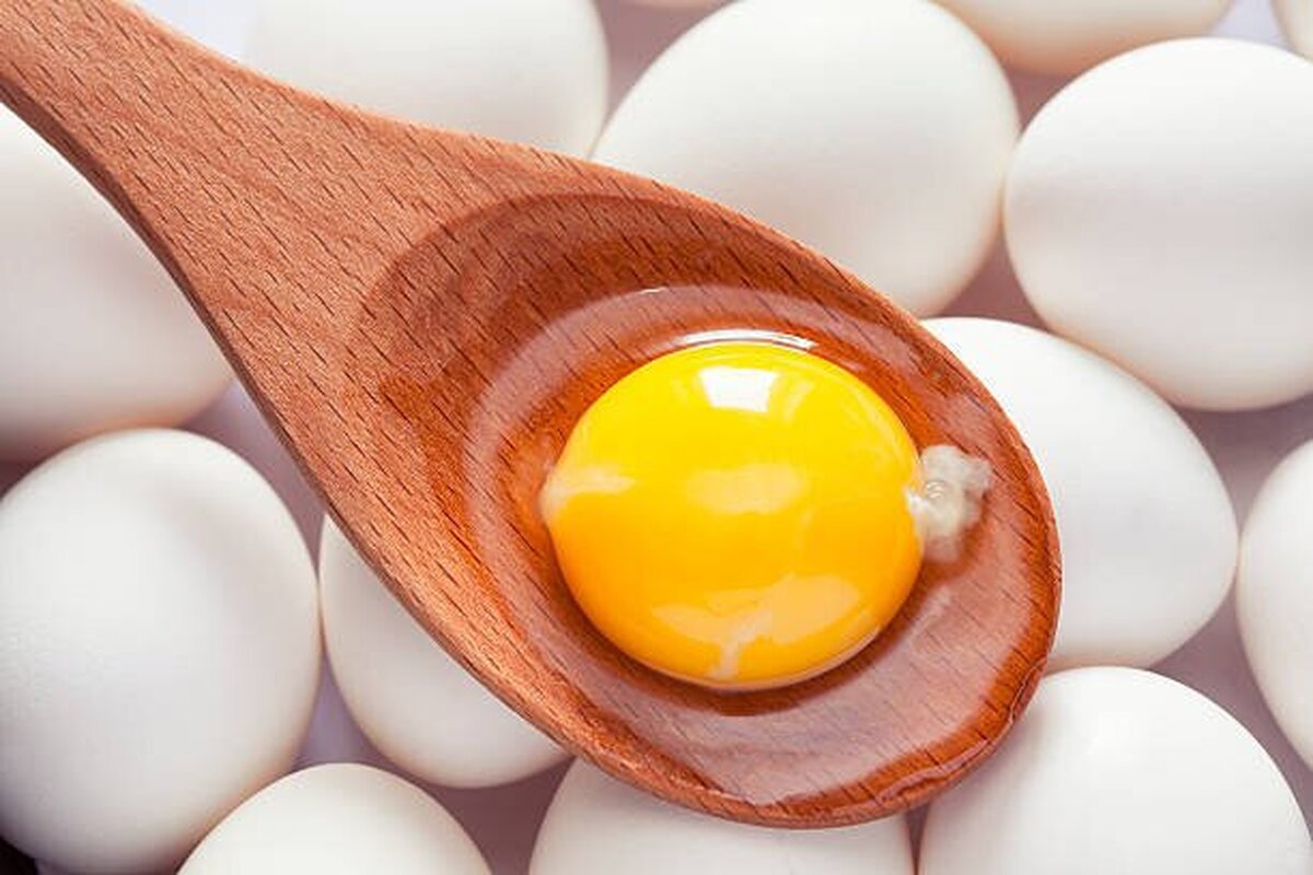 فواید فوق‌العاده و بی نظیر روغن زرده تخم مرغ برای سلامت مو + طرز تهیه آن