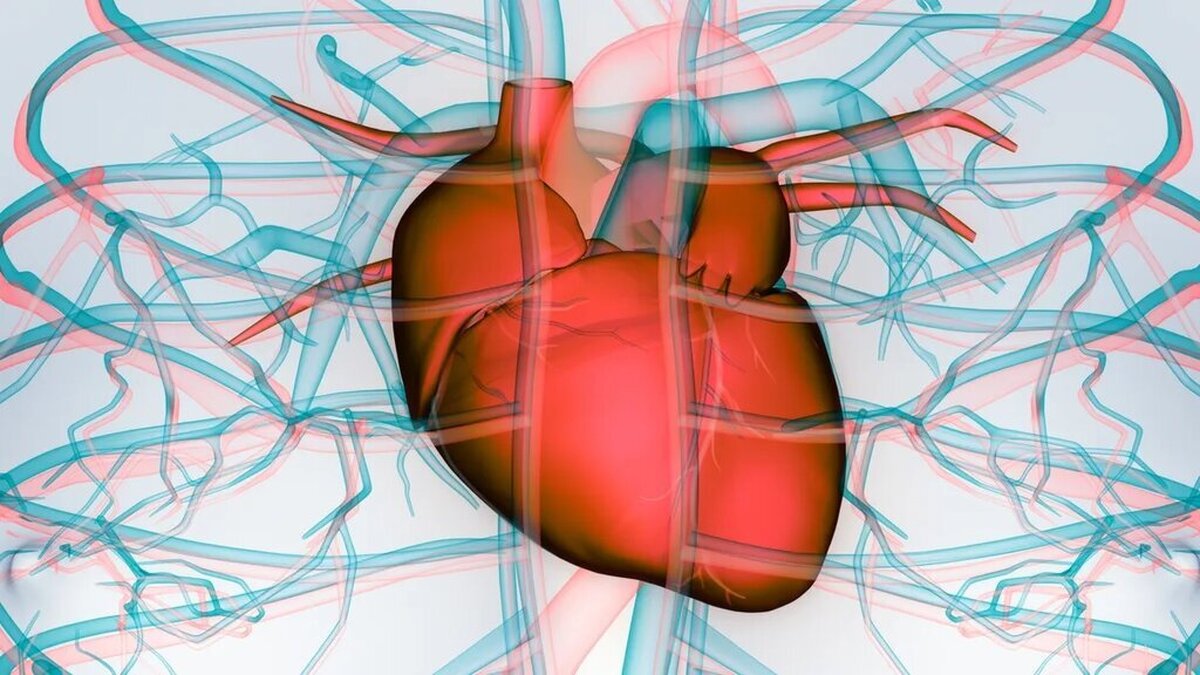 چه زمانی تپش قلب نگران کننده است؟ | علائم حمله قلبی را بشناسید