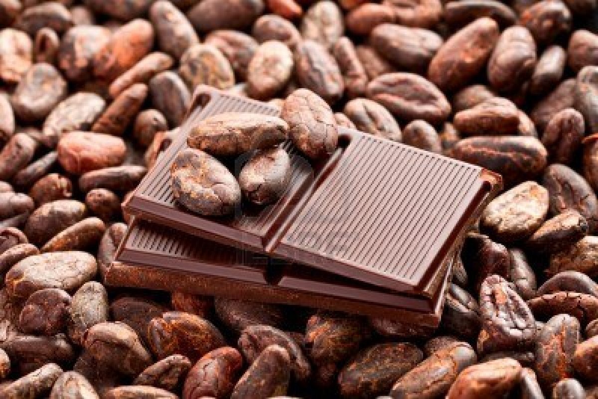 جهان با کسری در عرضه کاکائو مواجه شده است | آیا قیمت شکلات هم به گوشت قرمز می‌رسد؟