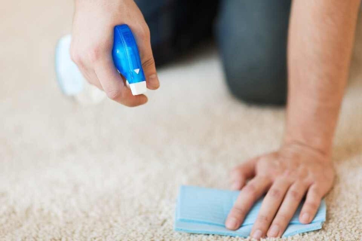 پاک کردن لکه شیر از روی فرش | برای رفع بوی بد شیر از روی فرش چه کنیم؟
