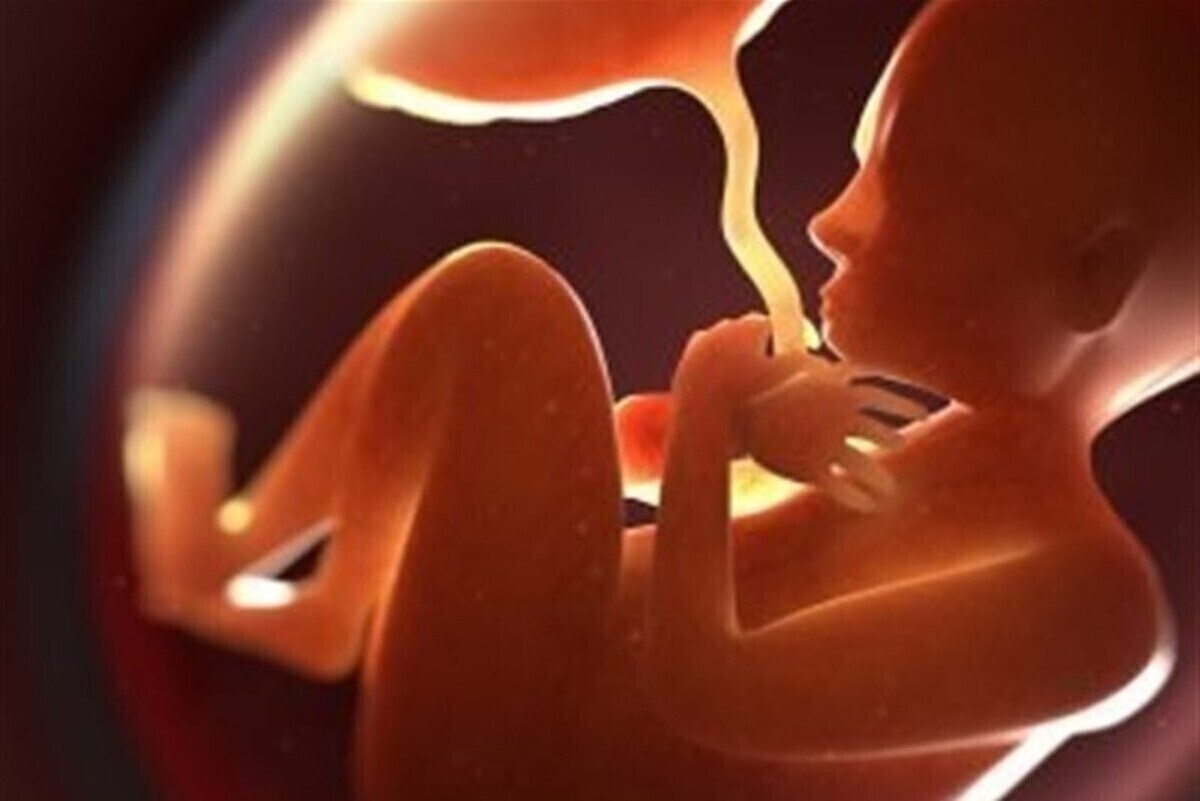 برنامه‌های جوانی جمعیت از رشد ۱۸ درصدی زایمان‌های سوم به بعد تا پیشگیری از سقط ۴۰۰۰ جنین