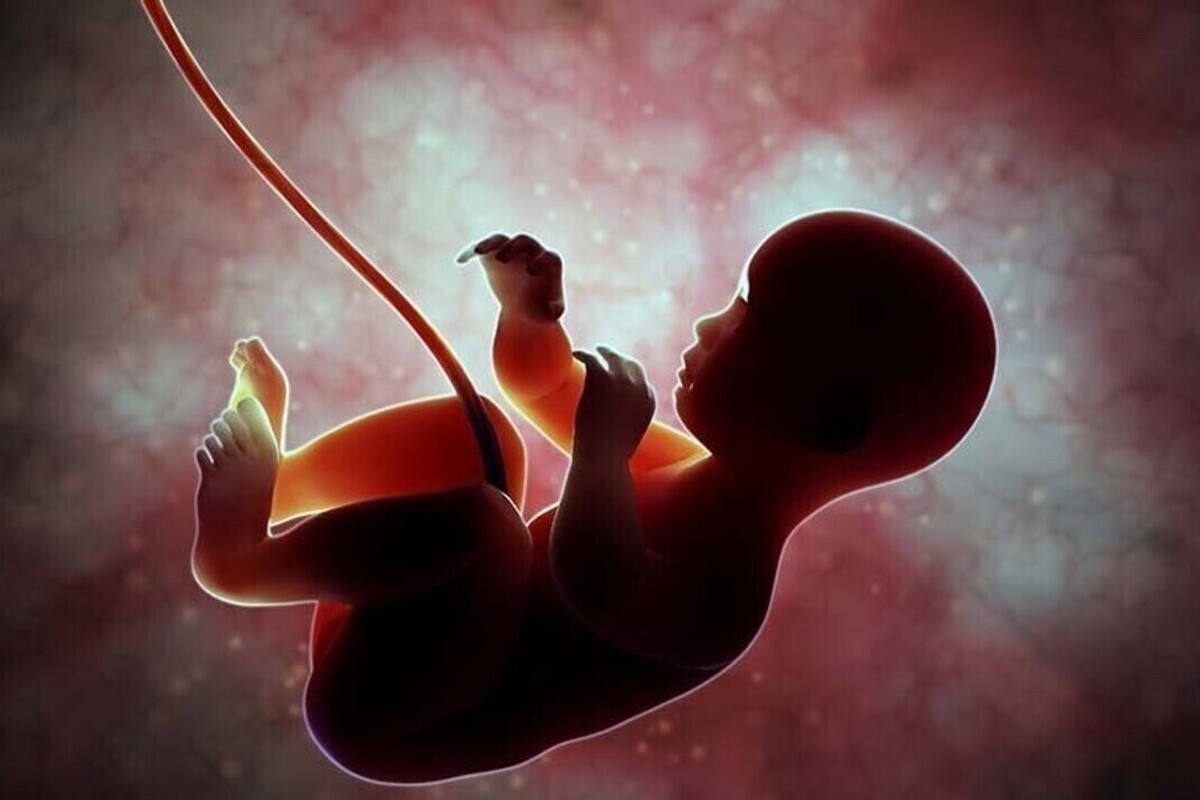 ویدئو | سقط جنین از منظر اسلام چه حکمی دارد؟