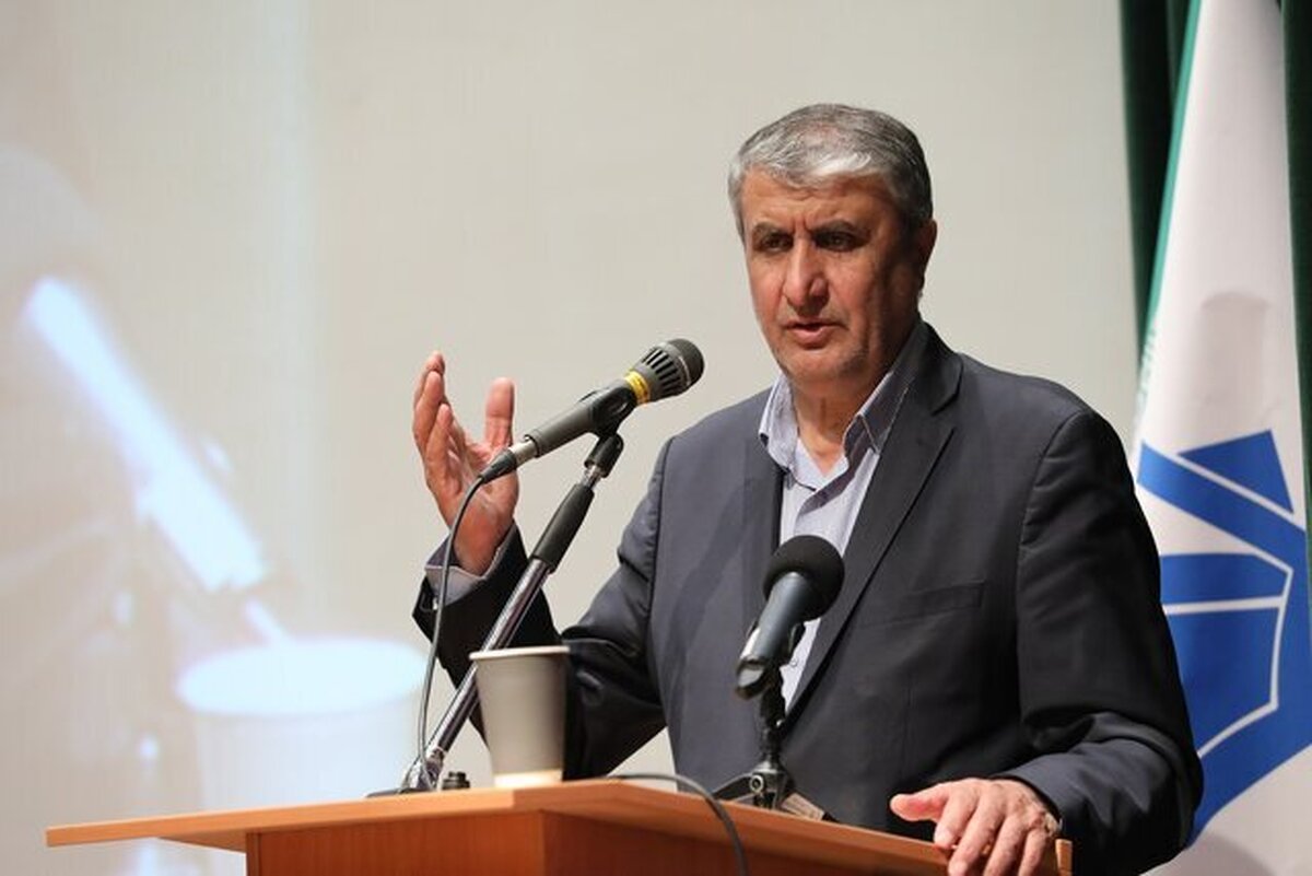 رییس سازمان انرژی اتمی از گام‌های اساسی ایران برای افزایش تعداد نیروگاه‌های اتمی خبرداد