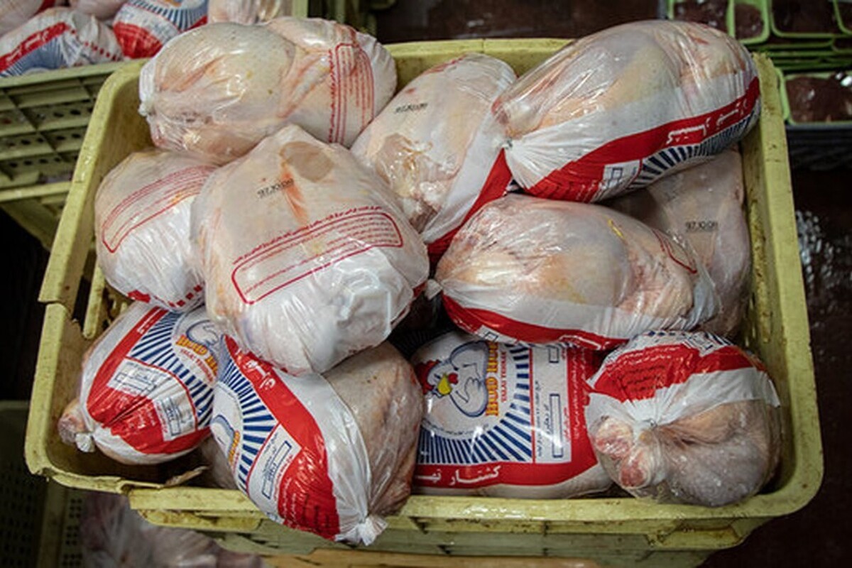 عراق، اصلی‌ترین مقصد صادرات مرغ منجمد ایرانی