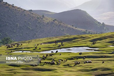 ایران زیباست | ارتفاعات برفچال؛ شهرستان مینودشت
