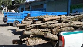 ویدئو| عملیات تعقیب و گریز برای کشف محموله‌های قاچاق چوب