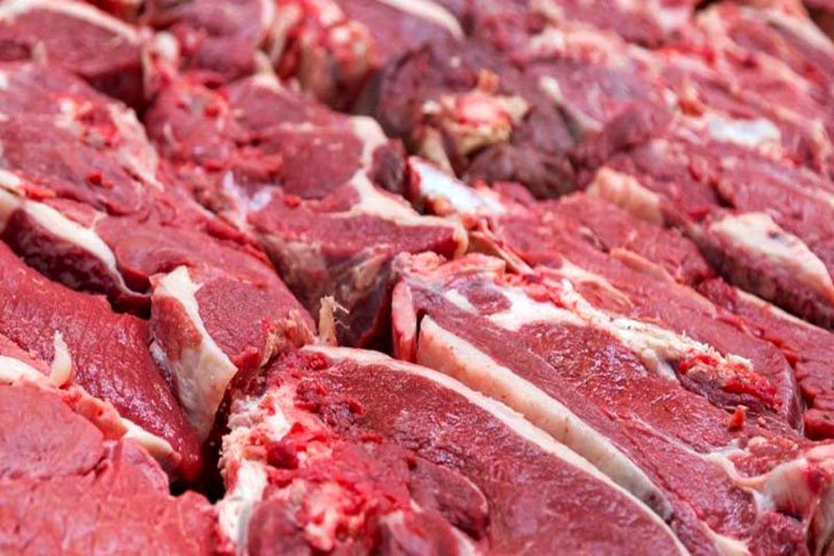 توزیع ۵۰۰ تن گوشت گرم گوساله با قیمت ۲۹۹ هزار تومان در مشهد از شنبه ۱۹ خرداد ۱۴۰۳