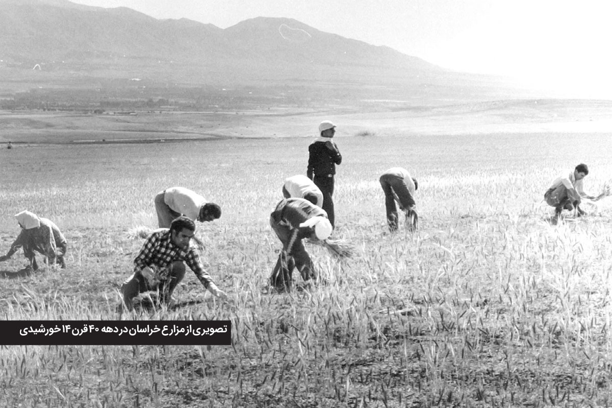 یادی از باران‌های سیل آسا در دهه ۳۰ شمسی در مشهد| باران، نان را برد
