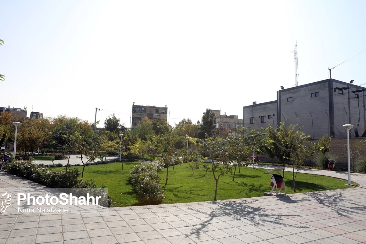امداد گیاه و هرس درختان بیشترین درخواست مشهدی ها از سامانه جامع فضای سبز شهرداری