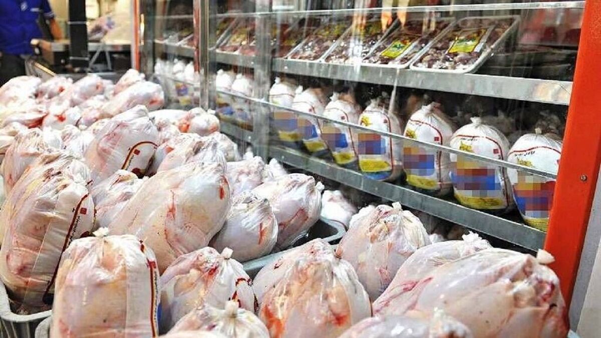 مرغ در بازار ارزان شد (۶ خرداد ۱۴۰۳) | قیمت جدید هر کیلوگرم مرغ تازه و منجمد در بازار