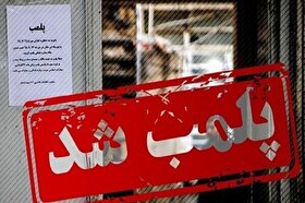 کافه سگ‌ها در تهران پلمب شد + فیلم
