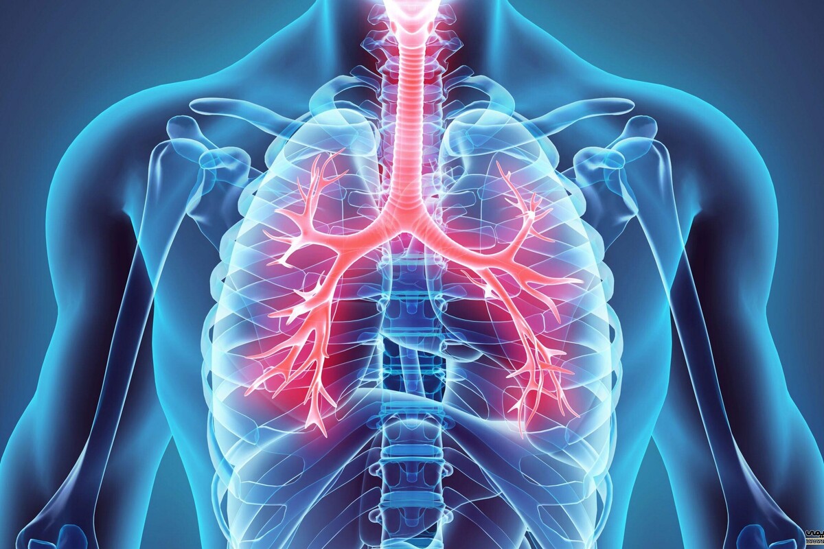 عواملی که ممکن است به ریه‌های ما آسیب بزنند