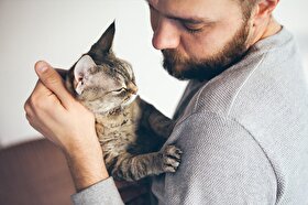 چرا گربه‌ها بیشتر به انسان‌ها میومیو می‌کنند؟