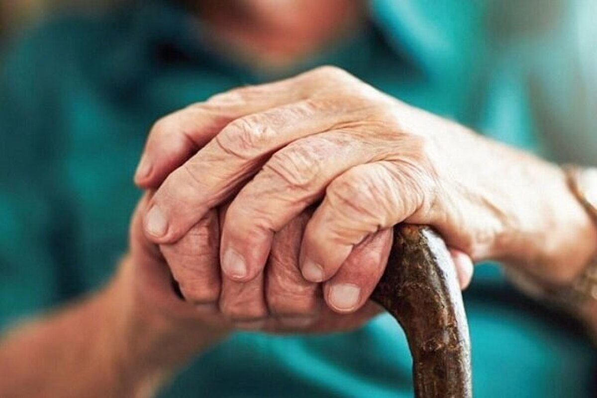 ارائه مشاوره تغذیه و فعالیت‌های جسمانی به سالمندان در مراکز بهداشتی مشهد