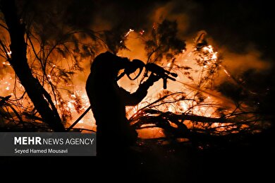 عکس‌هایی از آتش‌سوزی پارک ملی کرخه