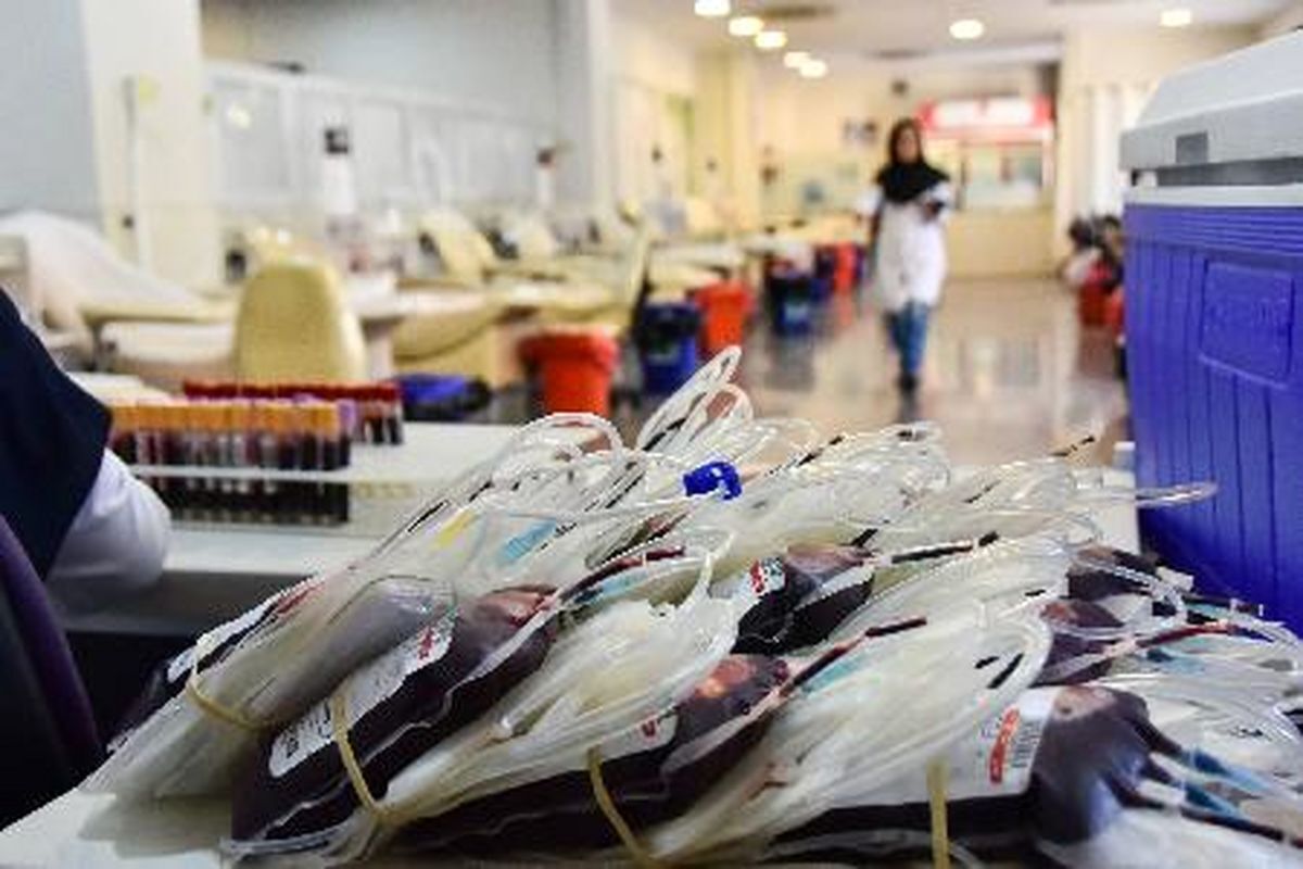 بانوان از اهدای خون در کشور سهم ۴ درصدی دارند
