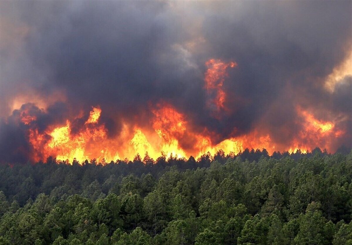 ادامه آتش سوزی در جنگل اولنگ| ۵ هکتار دیگر سوخت