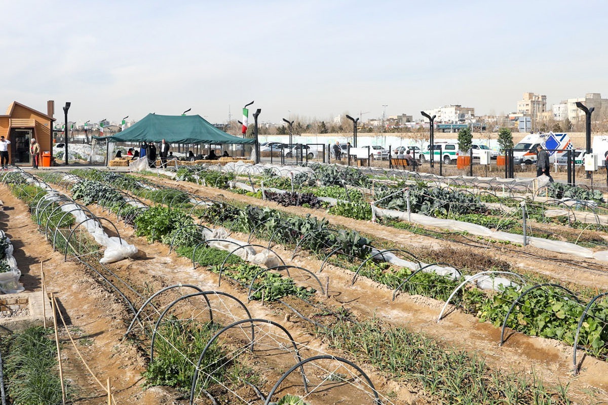 بوستان برکت؛ بستری برای کشاورزی شهروندان مشهدی