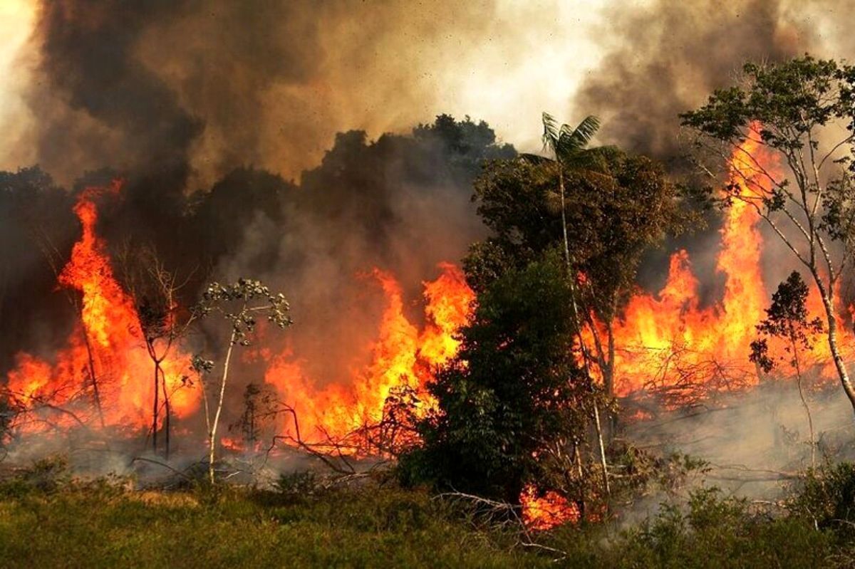 جزییات آتش‌سوزی منطقه خائیز | جرقه‌ای که از مزرعه کشاورزی شروع شد