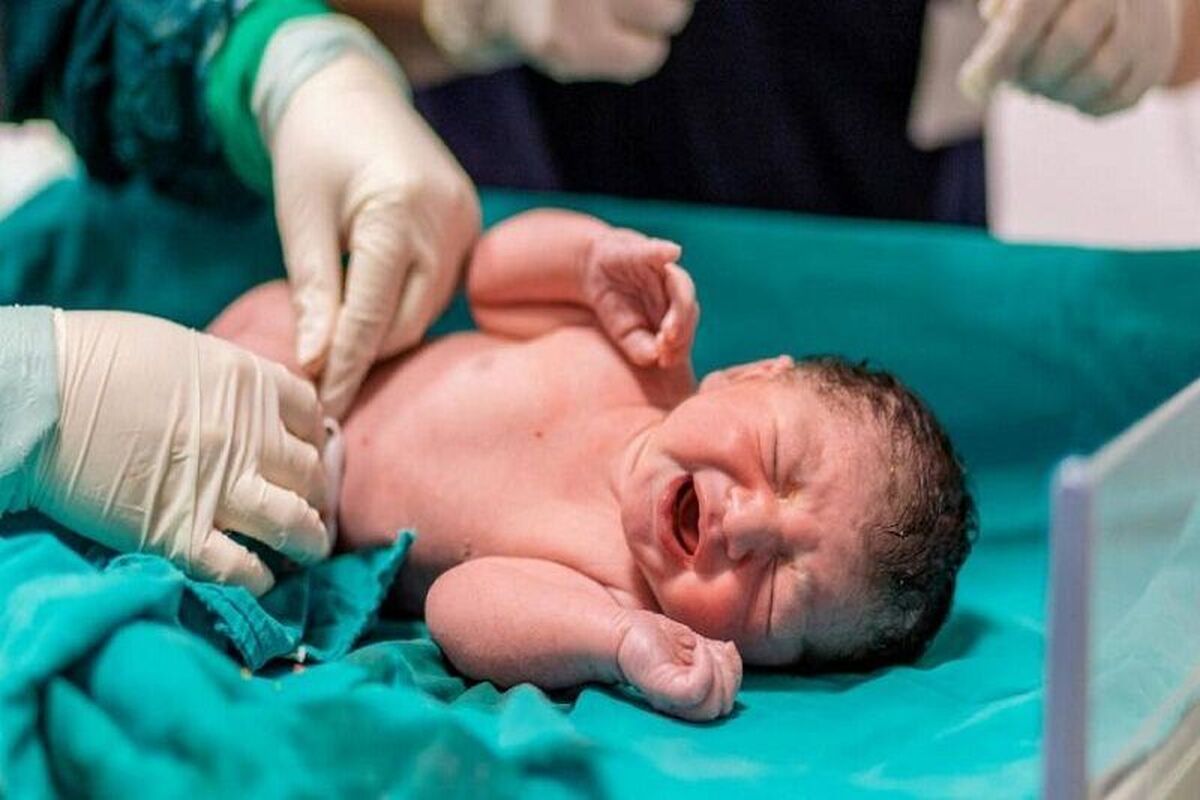 تولد نوزاد عجول اهل تربت‌حیدریه در آمبولانس