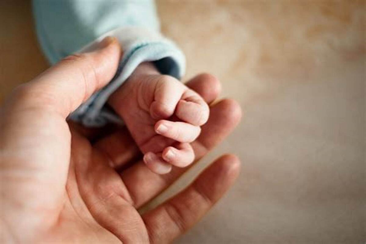 نجات ۴۷۰۰ جنین از سقط‌شدن در طرح «نفس»