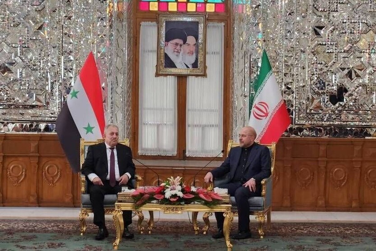 رؤسای مجالس ایران و سوریه دیدار و گفتگو کردند