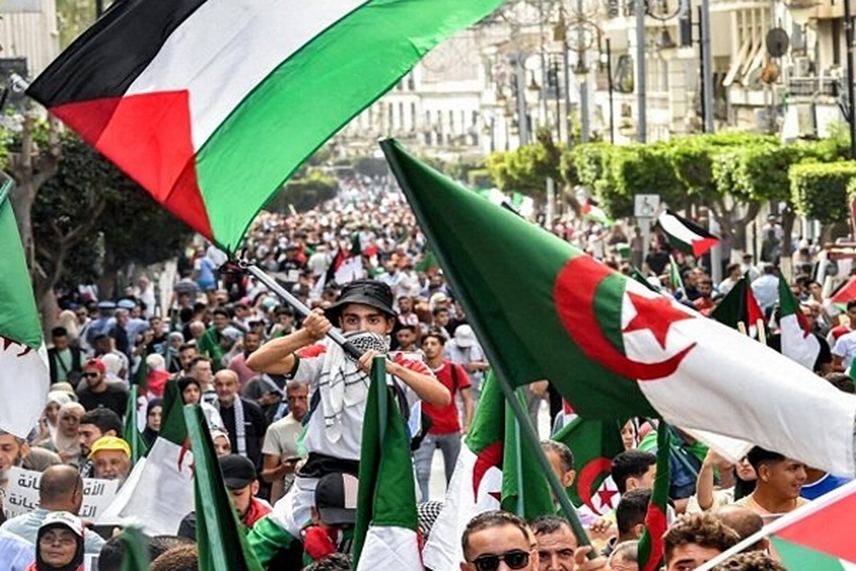 الجزایر ترور «اسماعیل هنیه» را قویاً محکوم کرد