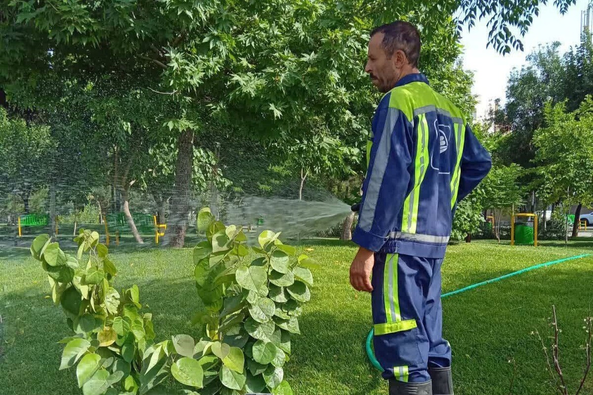 تأمین روزانه ۱۳۵ هزار مترمکعب آب موردنیاز فضای‌سبز شهری از پساب و چاه‌های غیرکیفی