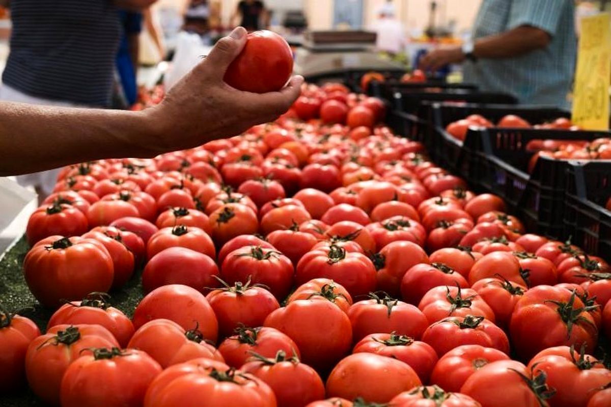 قیمت امروز انواع میوه و صیفی جات در مشهد (۴ مرداد ۱۴۰۳) | افزایش ۷ هزار تومانی قیمت گوجه فرنگی
