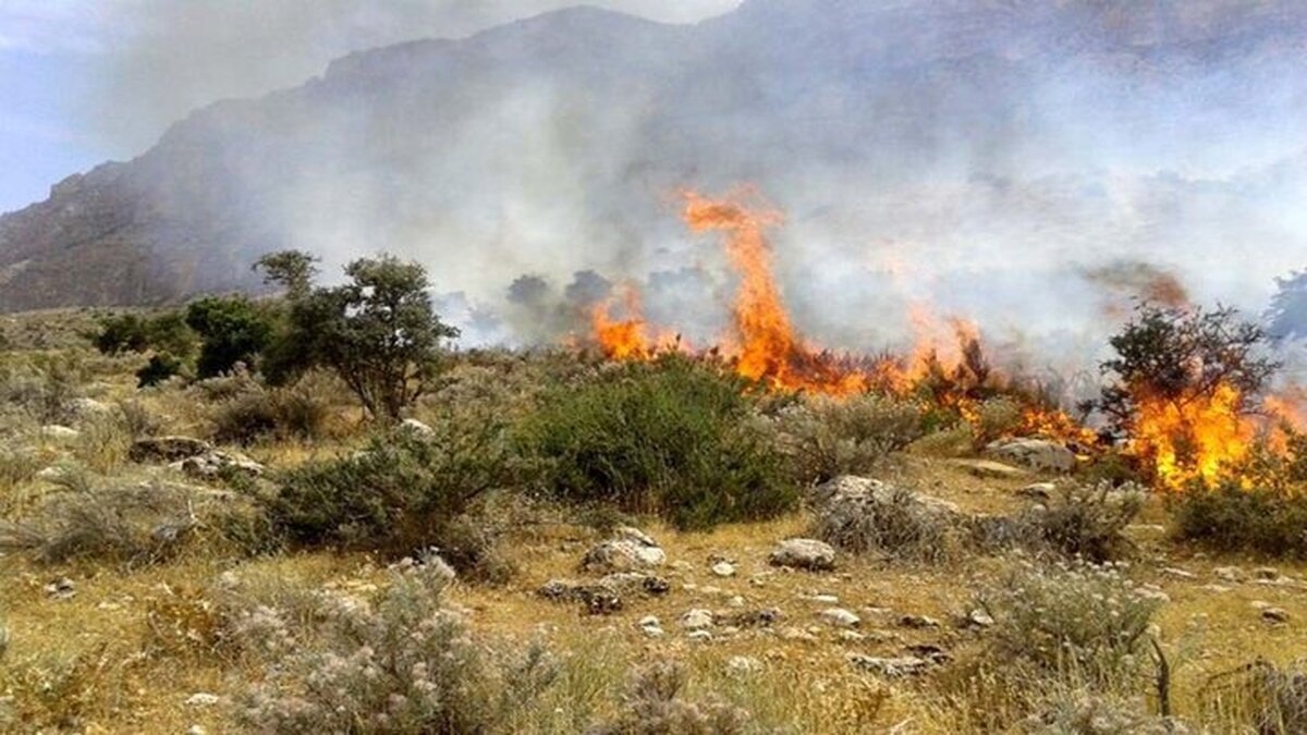 فرماندار مهدیشهر گفت: حریق در مراتع تلاجیم کوه واقع در منطقه پرور شمال شهرستان کنترل شد.