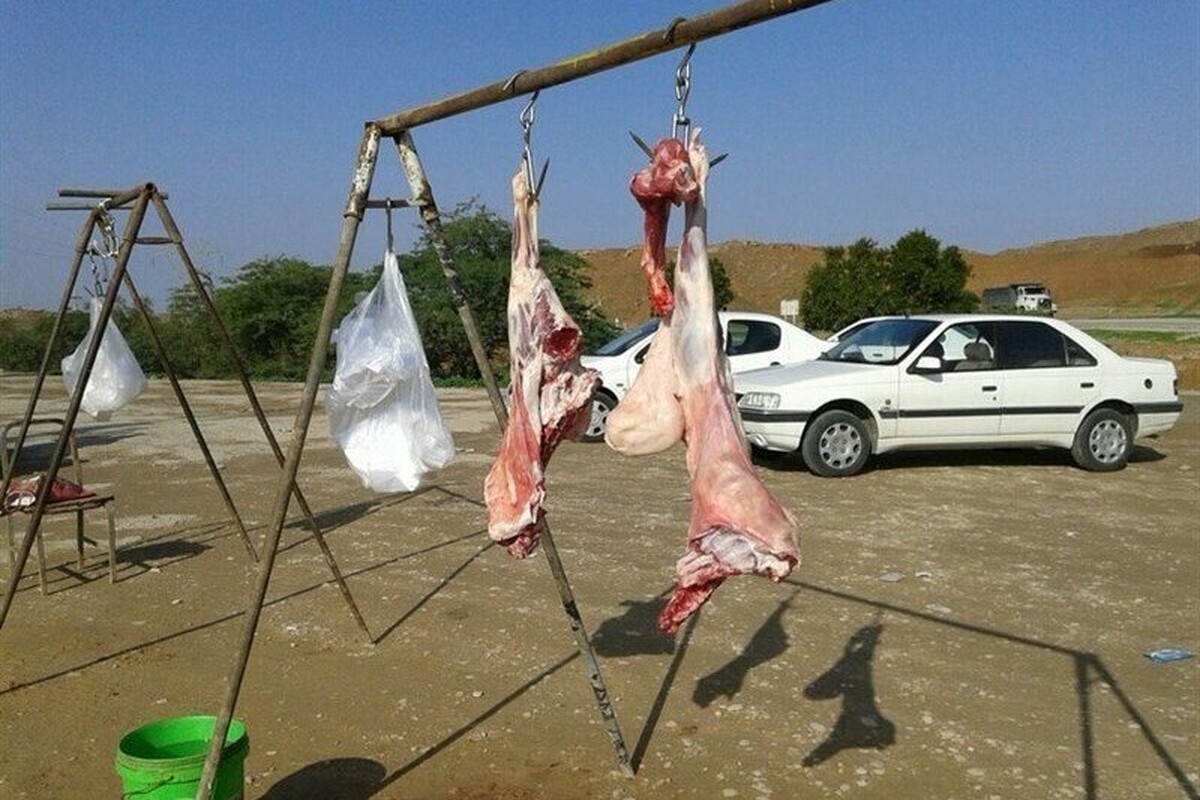 رئیس شبکه دامپزشکی سبزوار گفت: یک متخلف کشتار غیرمجاز گاو در سبزوار به پرداخت ۲۰۰ میلیون ریال جزای نقدی در حق صندوق دولت محکوم شد.