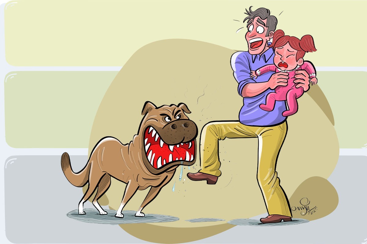 بیماری هاری از عوارض همزیستی انسان با حیوانات | مرگ حتمی؛ تبعات یک بی‌مسئولیتی