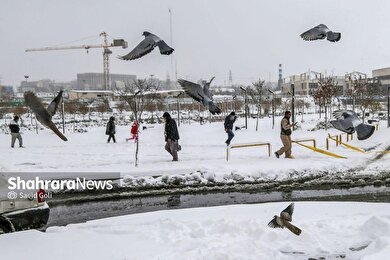 گزارش تصویری | بارش برف در مشهد