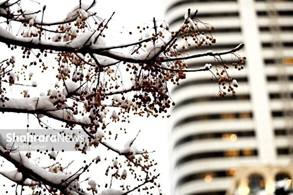 استان‌های خراسان‌ جزو پربارش‌ترین نقاط کشور در آذر ماه ۱۴۰۴ بودند + فیلم