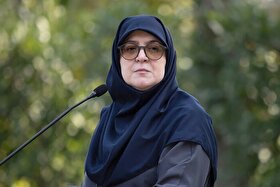 مهاجرانی در حیاط دولت: تمرکز ما بر افزایش قدرت خرید مردم است | بودجه زیارت، اهمیت ملی دارد