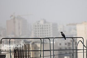 پیش‌بینی هواشناسی مشهد و خراسان رضوی امروز (یکشنبه، ۱۴ دی ۱۴۰۴) | آلودگی هوا در مشهد تا پایان هفته افزایش می‌یابد