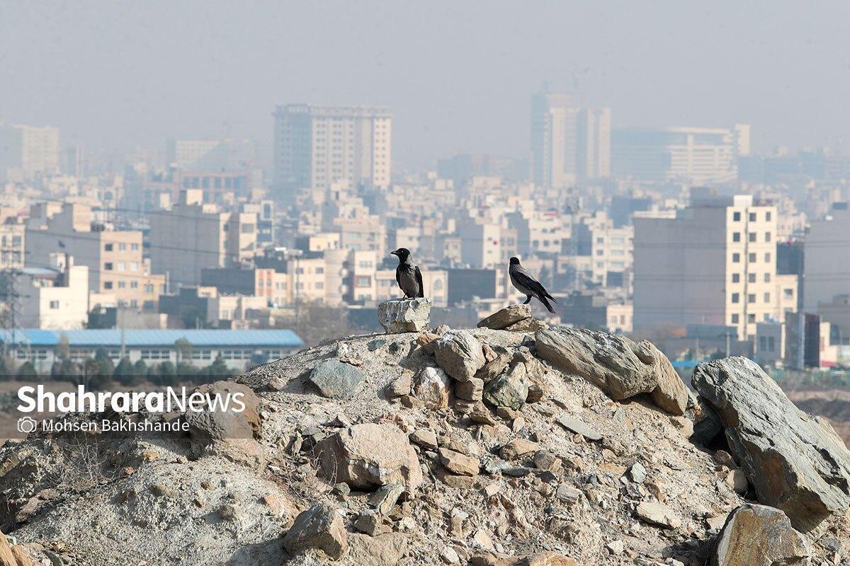 بر اساس پیش‌بینی‌های هواشناسی، تا پایان هفته جو آرام و پایداری در بیشتر مناطق کشور حاکم خواهد بود که این شرایط به افزایش غلظت آلاینده‌های جوی و کاهش کیفیت هوا در کلان‌شهر‌ها منجر می‌شود؛ در عین حال از اواخر جمعه با ورود سامانه بارشی، بارش باران و برف در بسیاری از مناطق کشور آغاز خواهد شد.