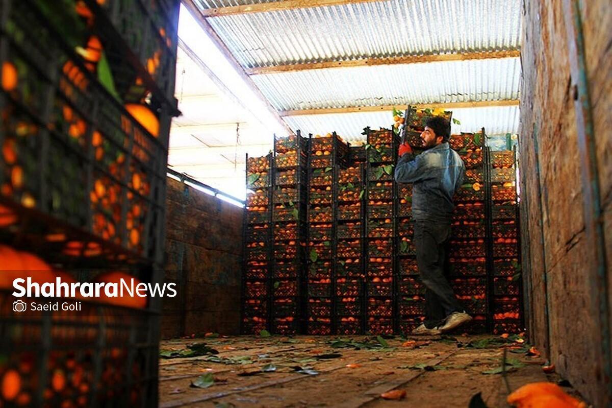 اتحادیه بارفروشان مشهد قیمت امروز میوه و صیفی جات به صورت عمده فروشی در تره‌بار‌های مشهد را اعلام کرد.