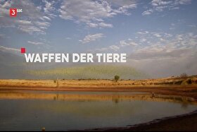 مستند حیات‌وحش «نبرد توانمندی‌های حیوانات» دوبله شد