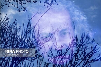 گزارش تصویری | مراسم تشییع پیکر «سعید پیردوست»