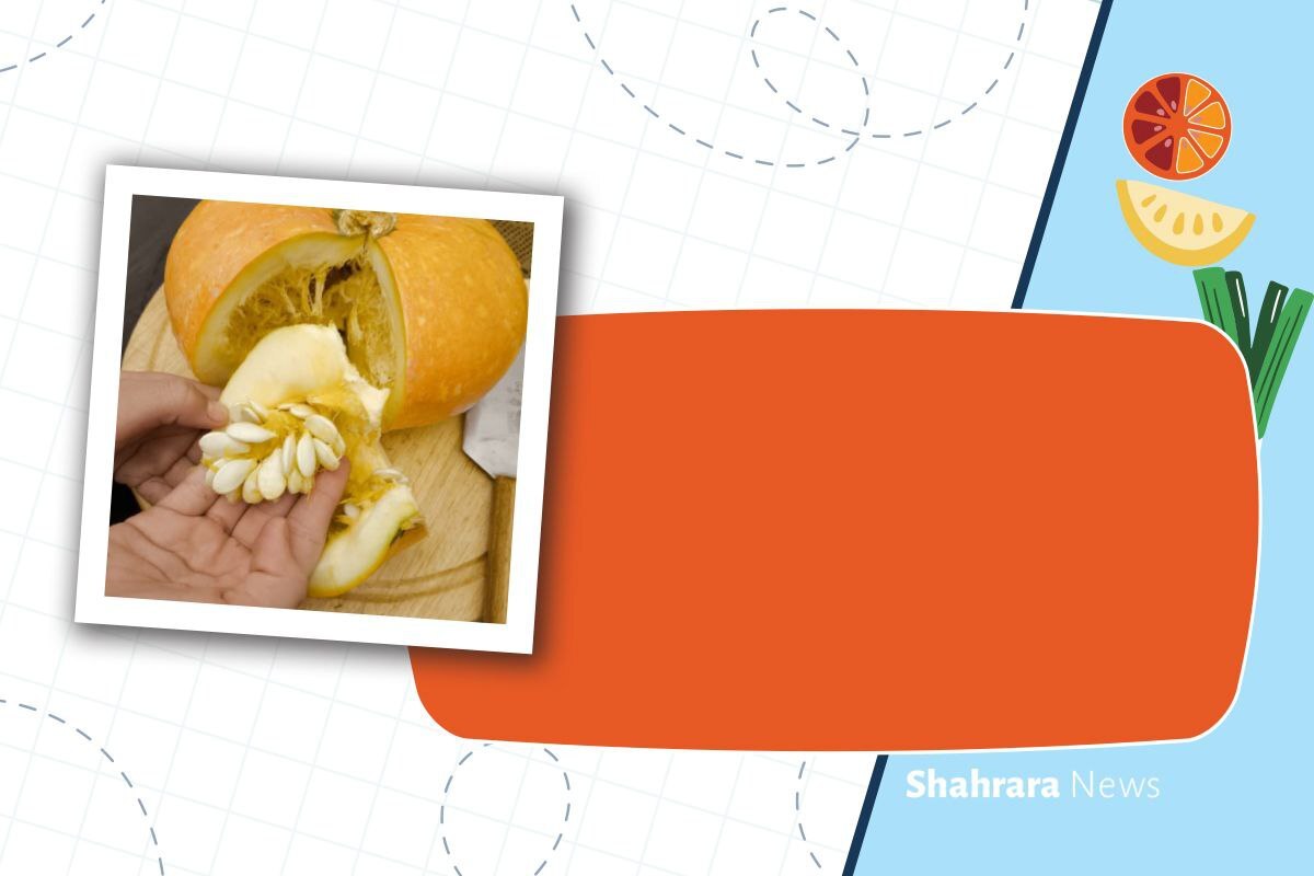 داستان مصور کودک | کدوی قلقله‌زن را می‌شناسی؟